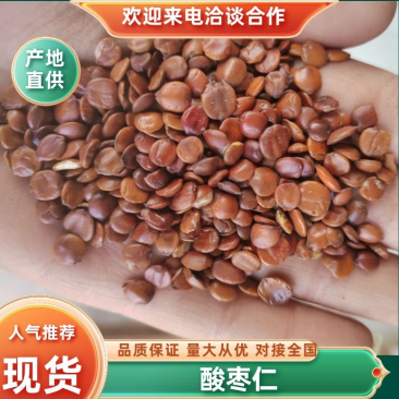 酸枣仁，炒枣仁，进口枣仁，国产枣仁，产地一手货源