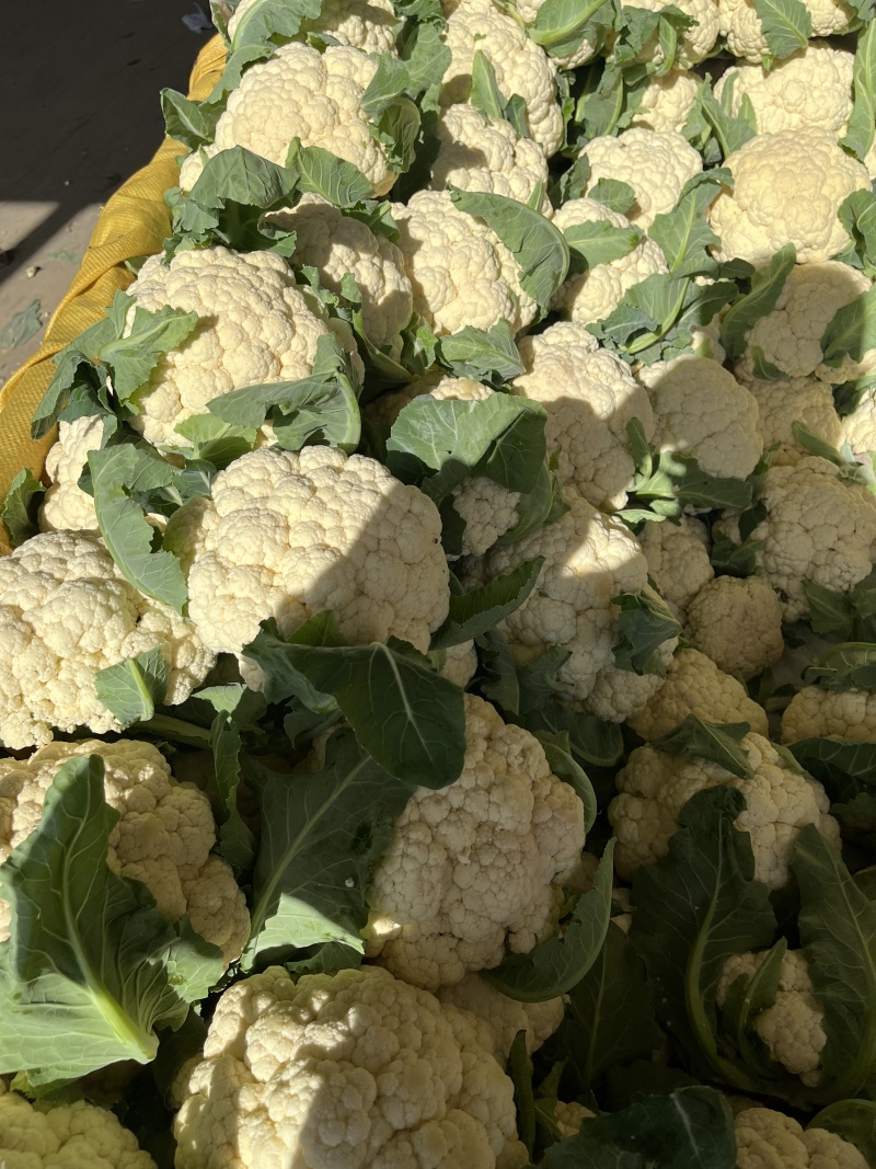 花菜菜花山东花菜白面青梗产地先砍现发欢迎咨询