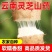 山药云南文山砚山县红土山药，佛手山药，基地直接发货