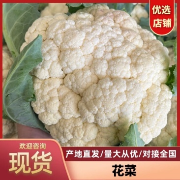 花菜菜花山东花菜白面青梗产地先砍现发欢迎咨询