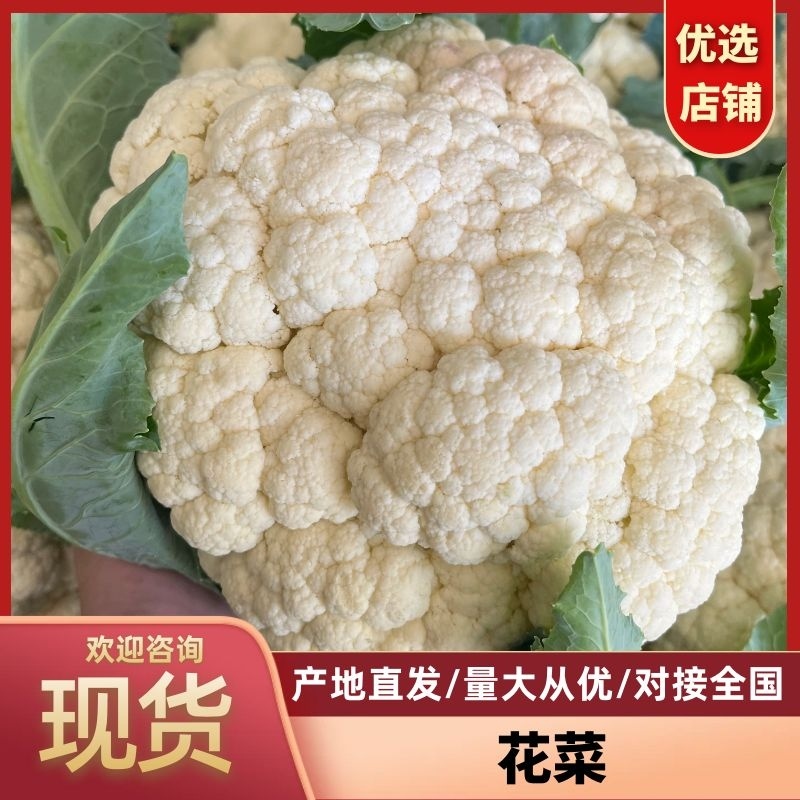花菜菜花山东花菜白面青梗产地先砍现发欢迎咨询