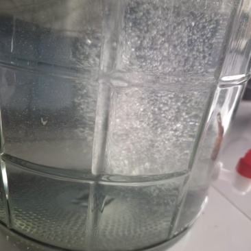 精品散装米酒自己工厂酿造价格美丽用料干净欢迎选购