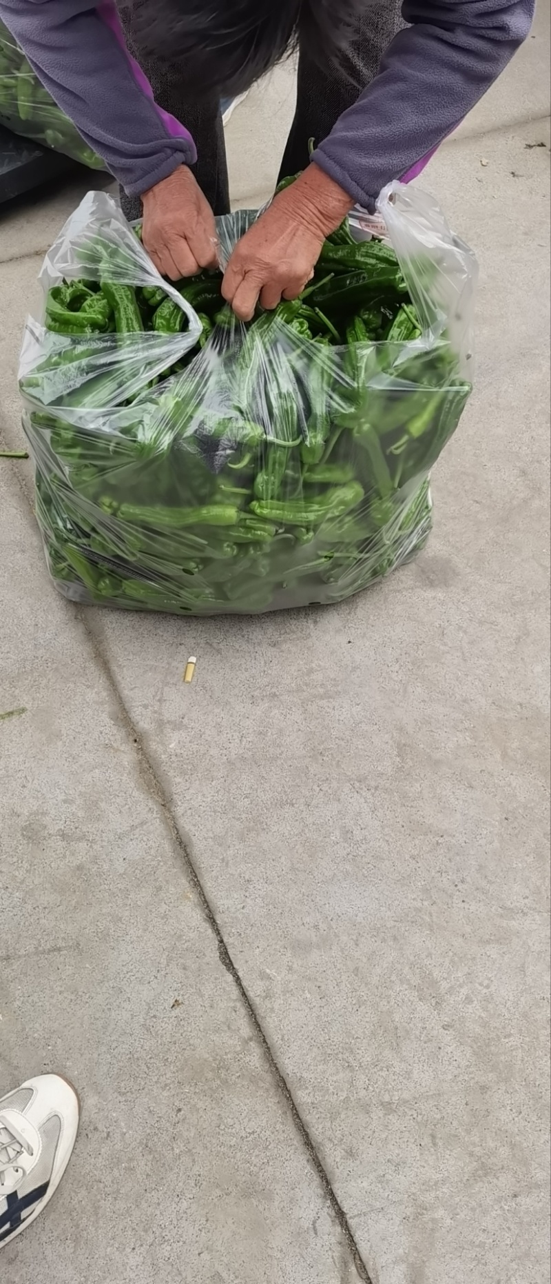 【推荐】精品鲜辣椒芜湖椒产地直发价优品质保障欢迎