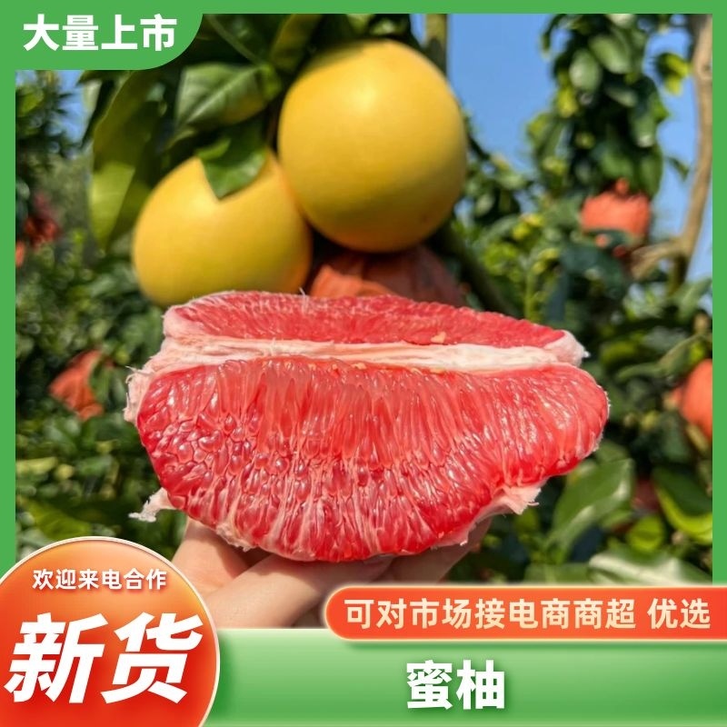 福建红心蜜柚湖北柚子/白心柚子/三红柚/蜜柚/电商市场商