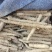 精选小白嘴山药产地直发货源充足供货稳定可视频看货