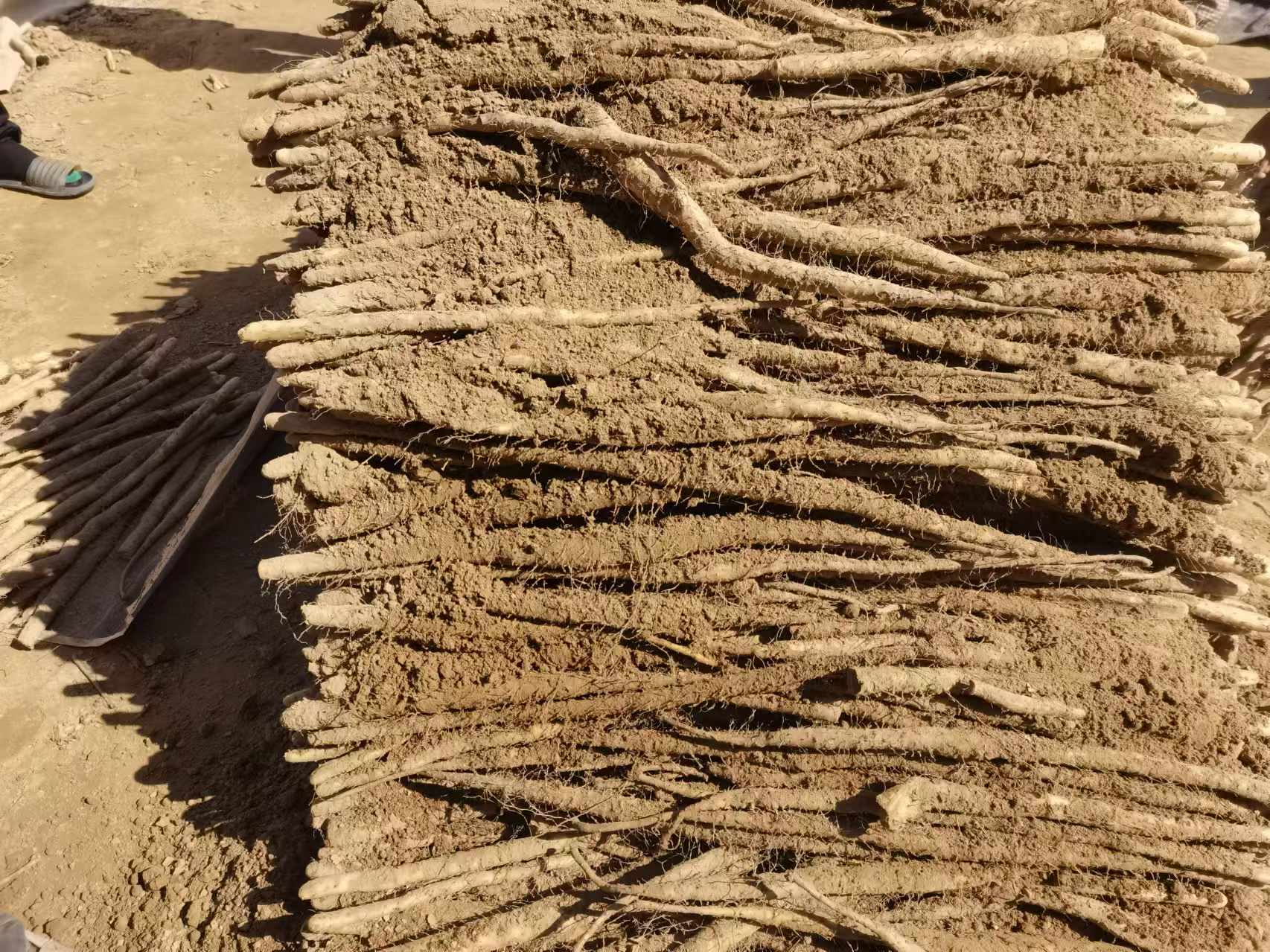 展示各类山药深加工产品,如山药粉、山药干、山药饮品等 淮山药深加工产品展示