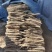 精品麻山药产地直发货源充足供货稳定可视频看货