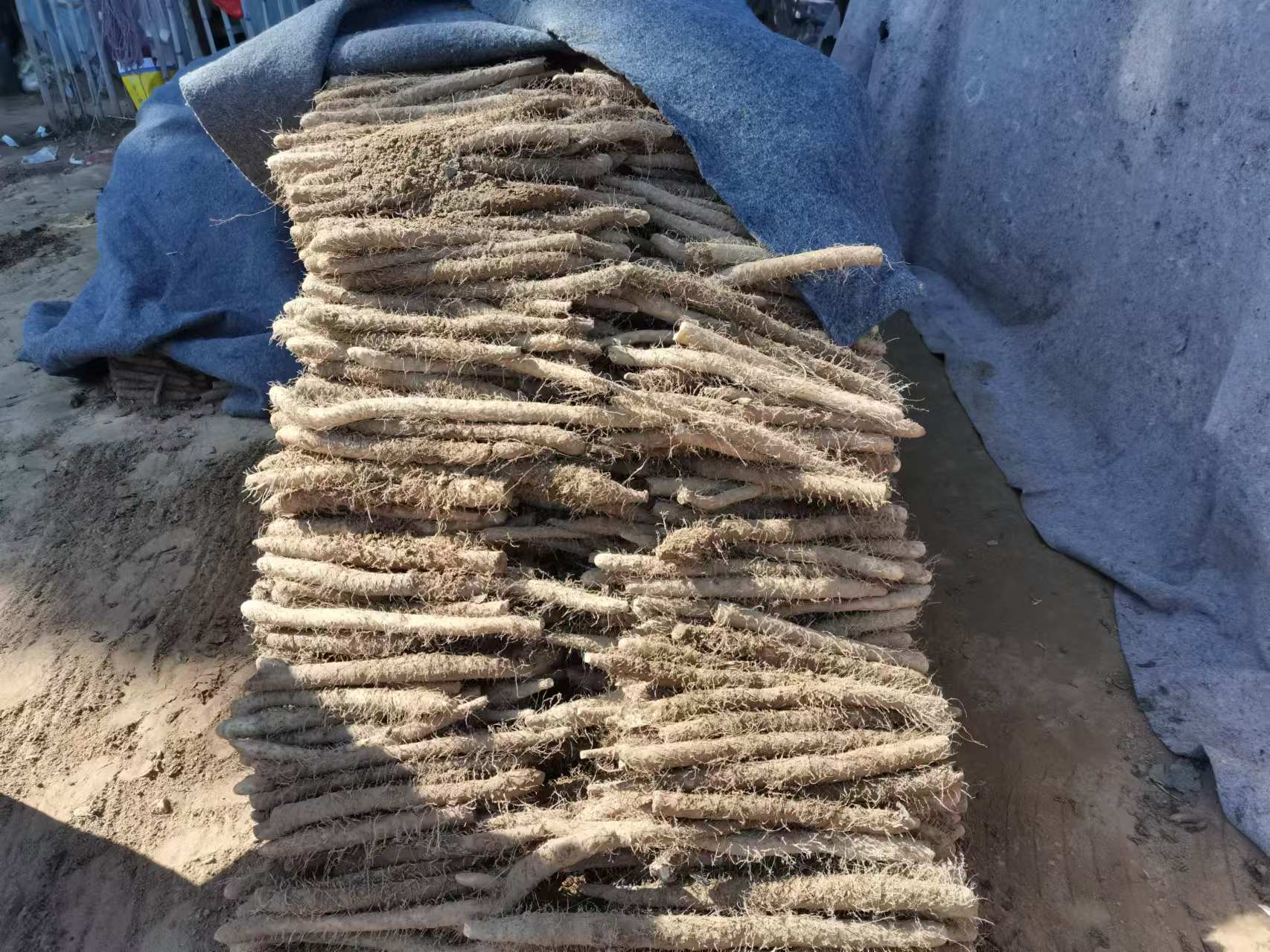 成品蓝莓山药摆盘图