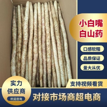 小白嘴白山药，全国发货，保质保量，对接各大电商、批发市场