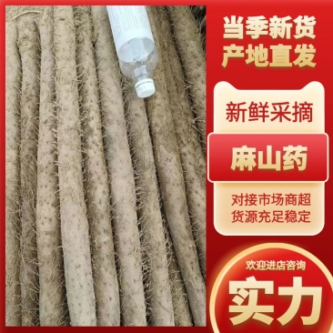 优选麻山药，河南精品山药，品种齐全，价格便宜，欢迎选购