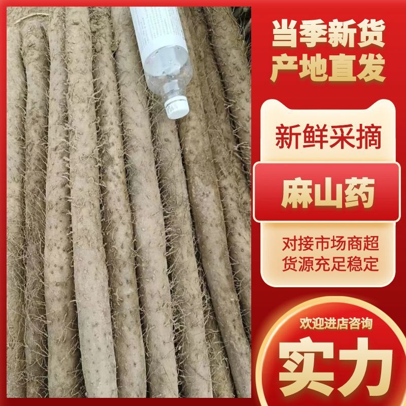 优选麻山药，河南精品山药，品种齐全，价格便宜，欢迎选购