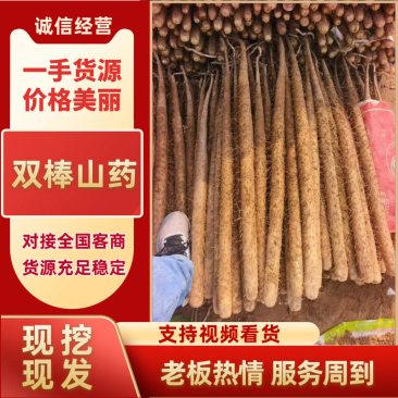 【河北】精选双棒山药保质保量品质保障视频看货