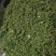 精品青花椒大量上市人工采摘产地直发保质保量量大从优