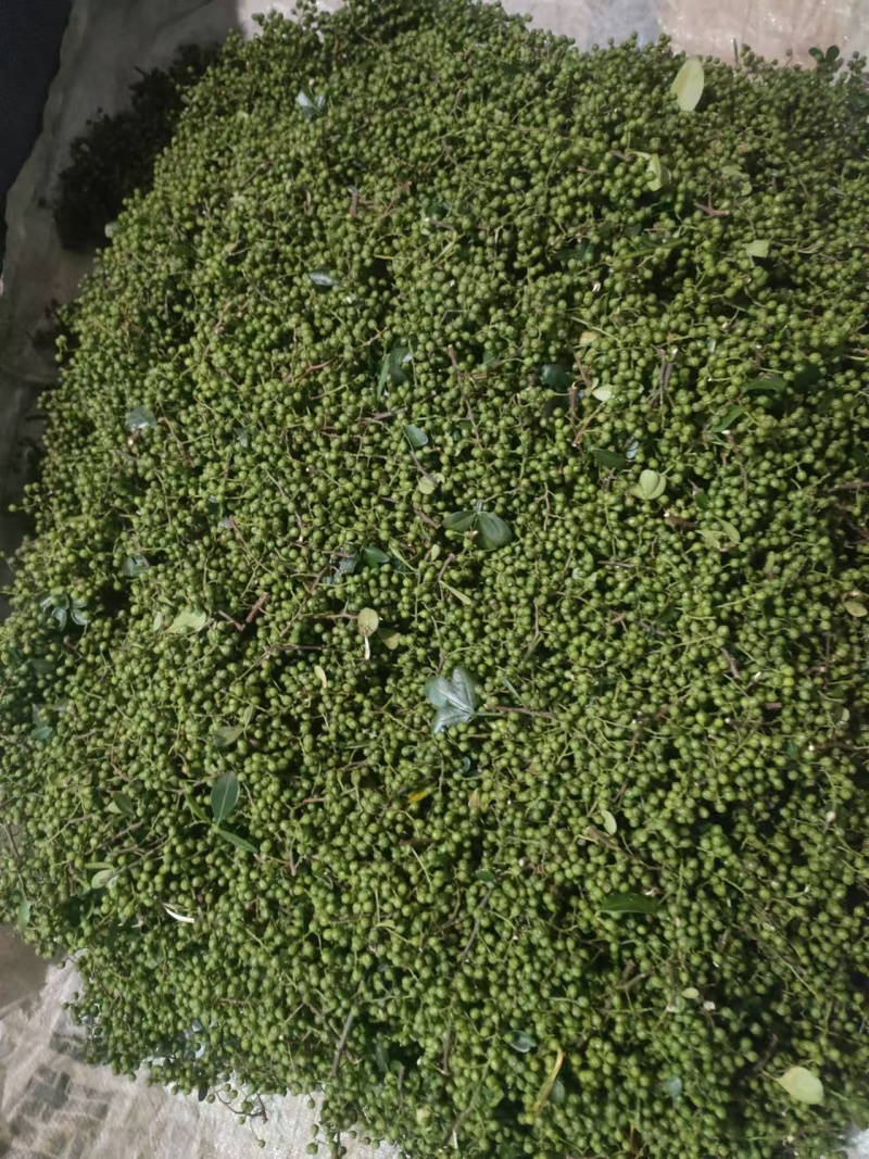 精品青花椒大量上市人工采摘产地直发保质保量量大从优