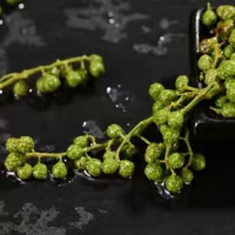 精品青花椒油精致包装品质保障量大从优产地直发