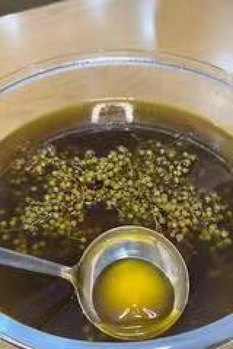 精品青花椒油精致包装品质保障量大从优产地直发