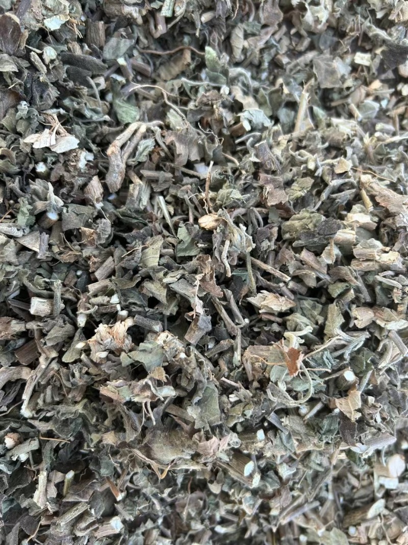 【精品广藿香】广东湛江基地直供质量保证规格齐全全国发货