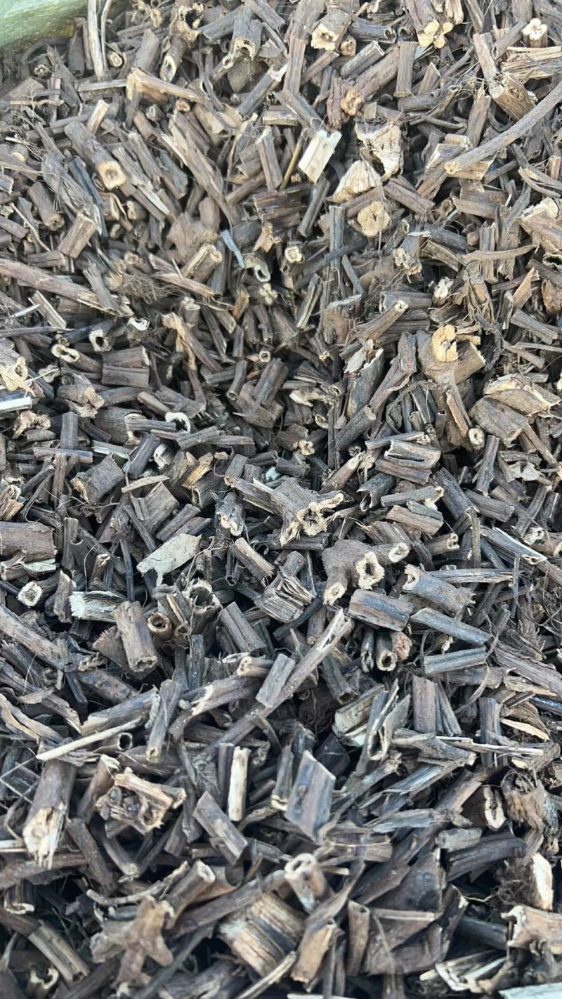 【香排草】广东湛江雷州基地直发质量保证一手货源欢迎订购