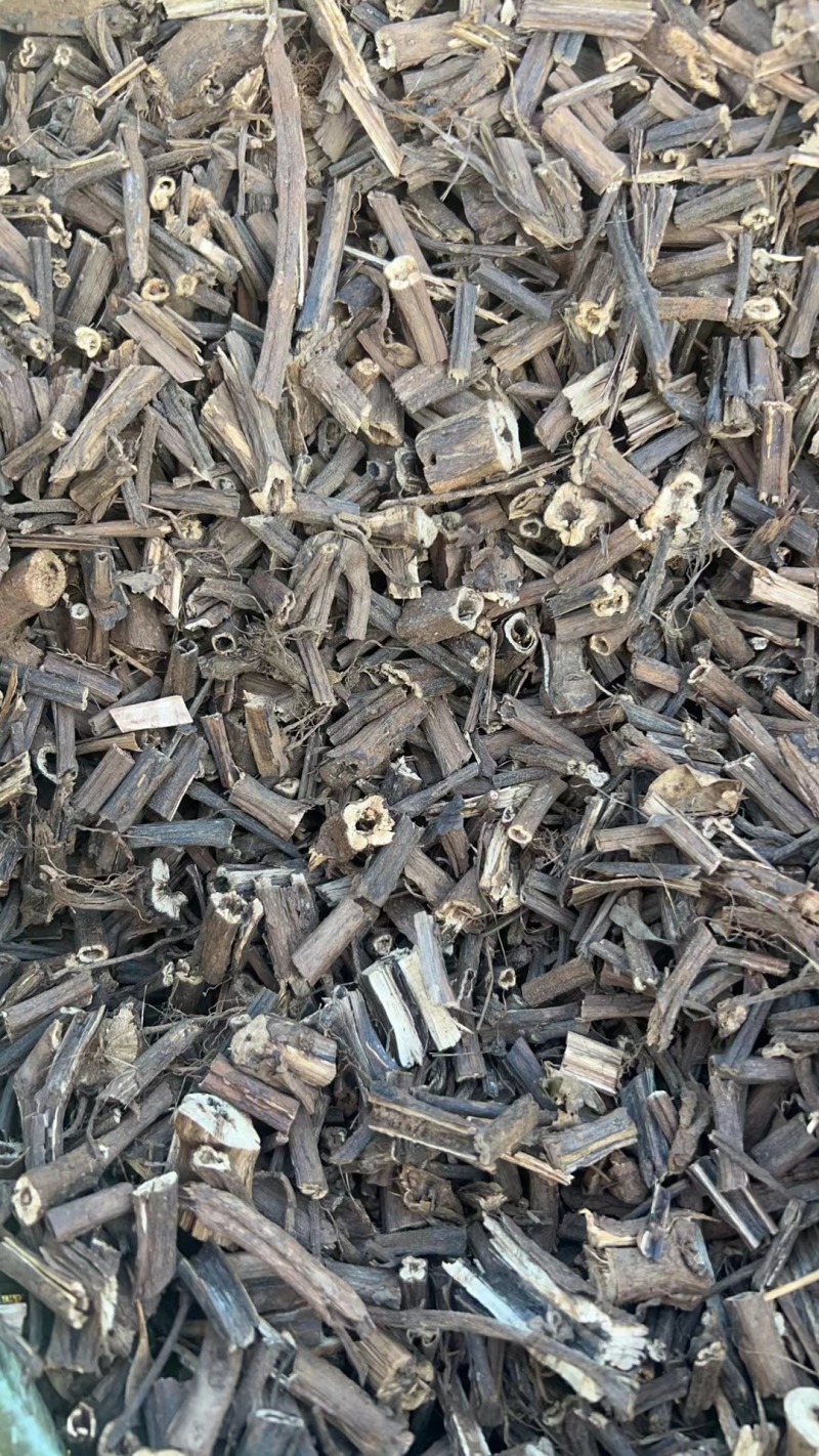【香排草】广东湛江雷州基地直发质量保证一手货源欢迎订购