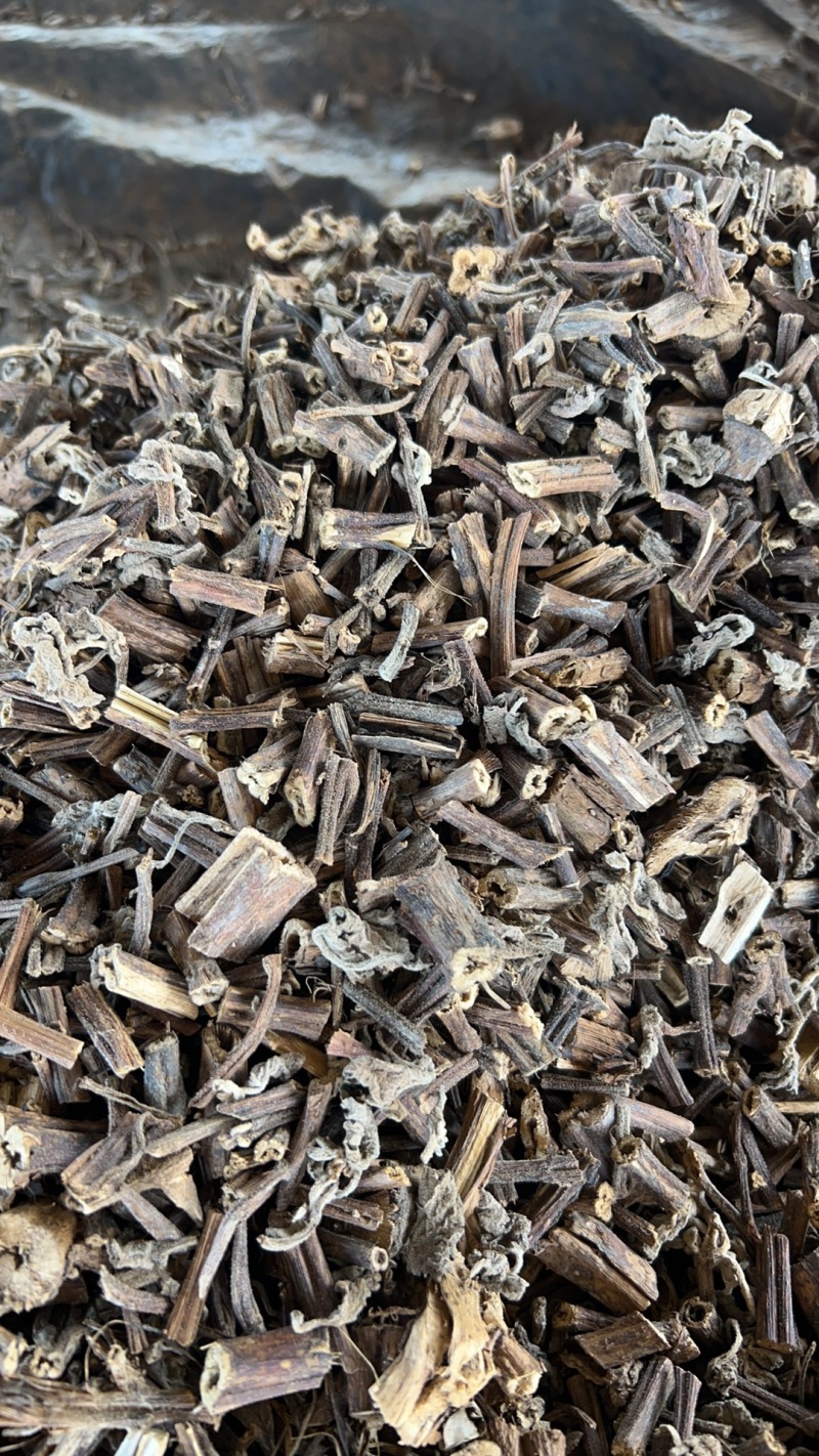 【香排草】广东湛江雷州基地直发质量保证一手货源欢迎订购