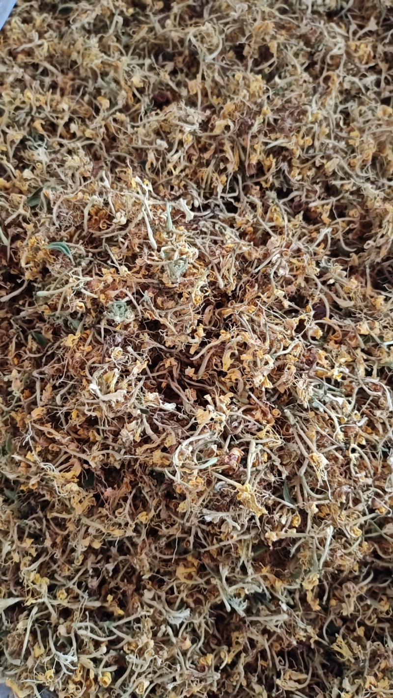 金银花花花朵，现货可泡茶可入药