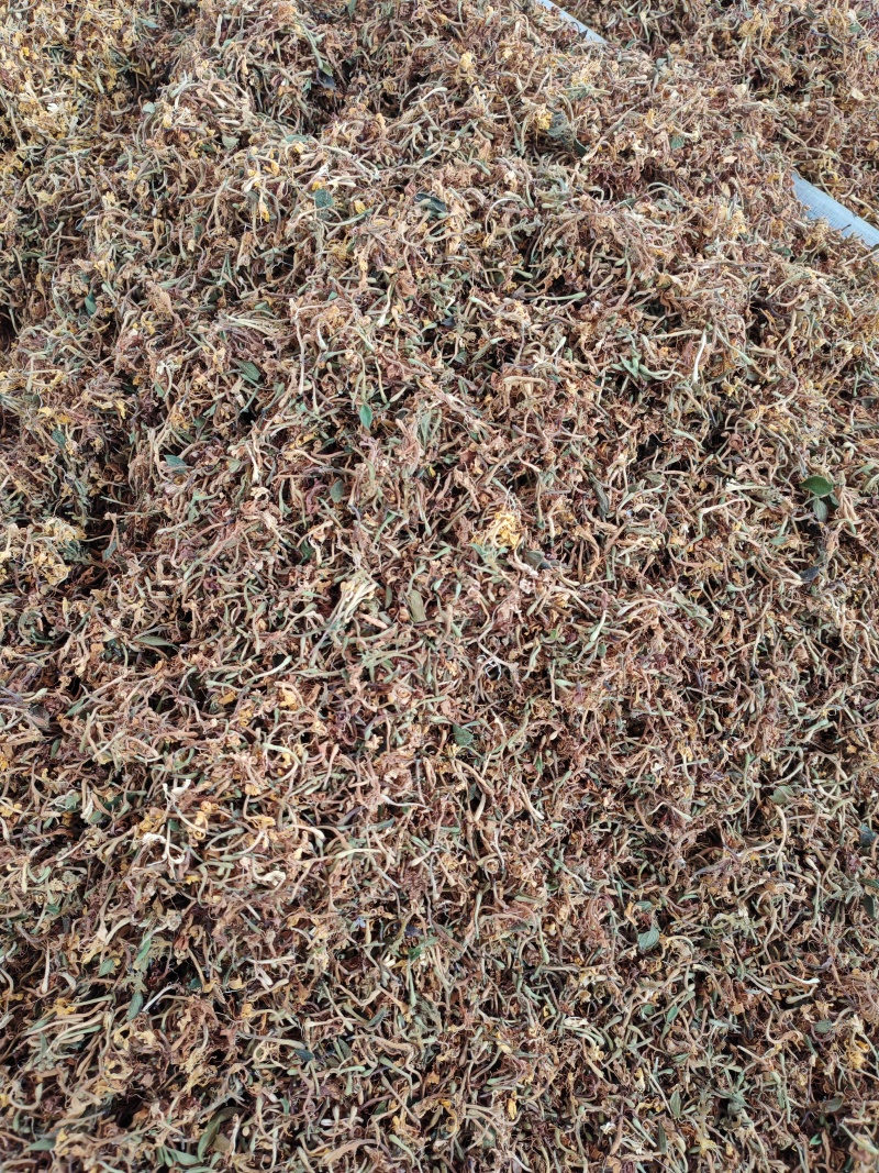金银花花花朵，现货可泡茶可入药