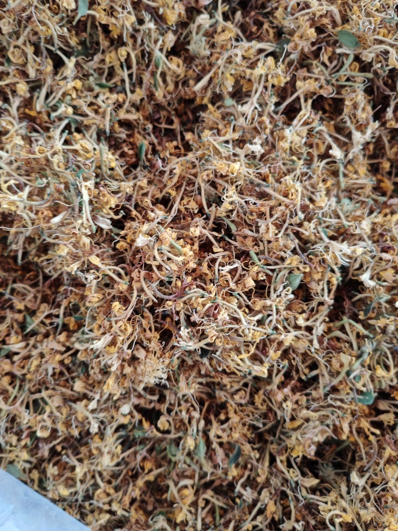 金银花花花朵，现货可泡茶可入药