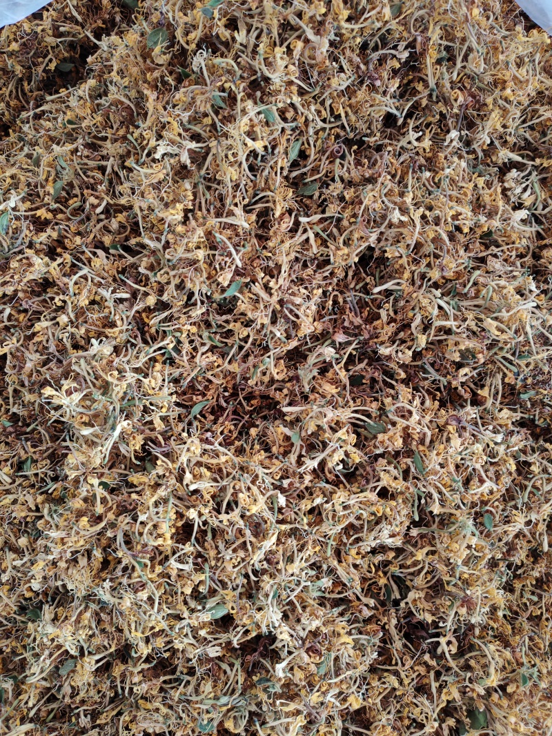 金银花花花朵，现货可泡茶可入药