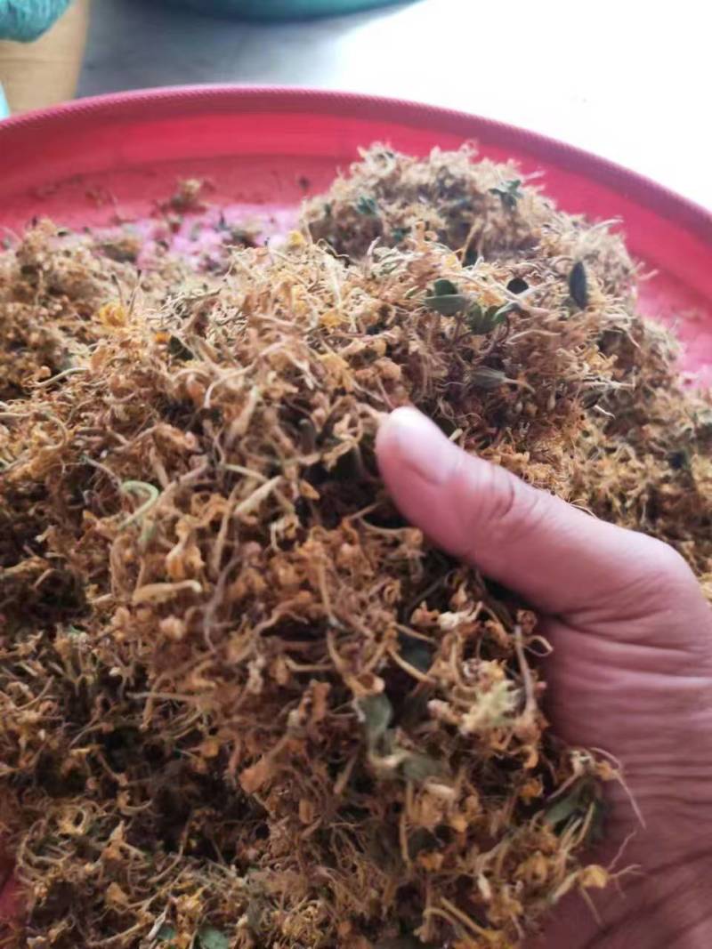 金银花花花朵，现货可泡茶可入药