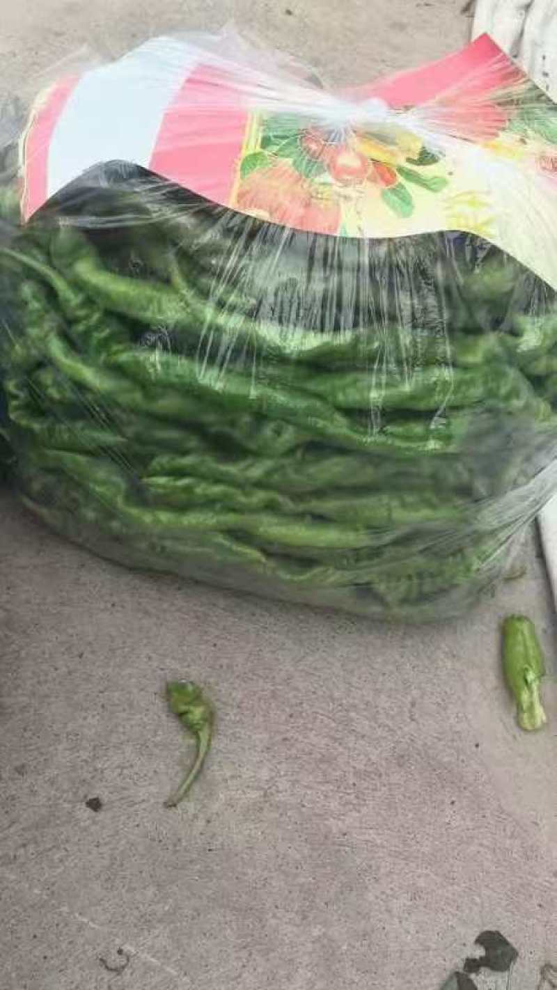 黄皮尖椒，产地一手货源，品质保证，量大从优，诚信经营