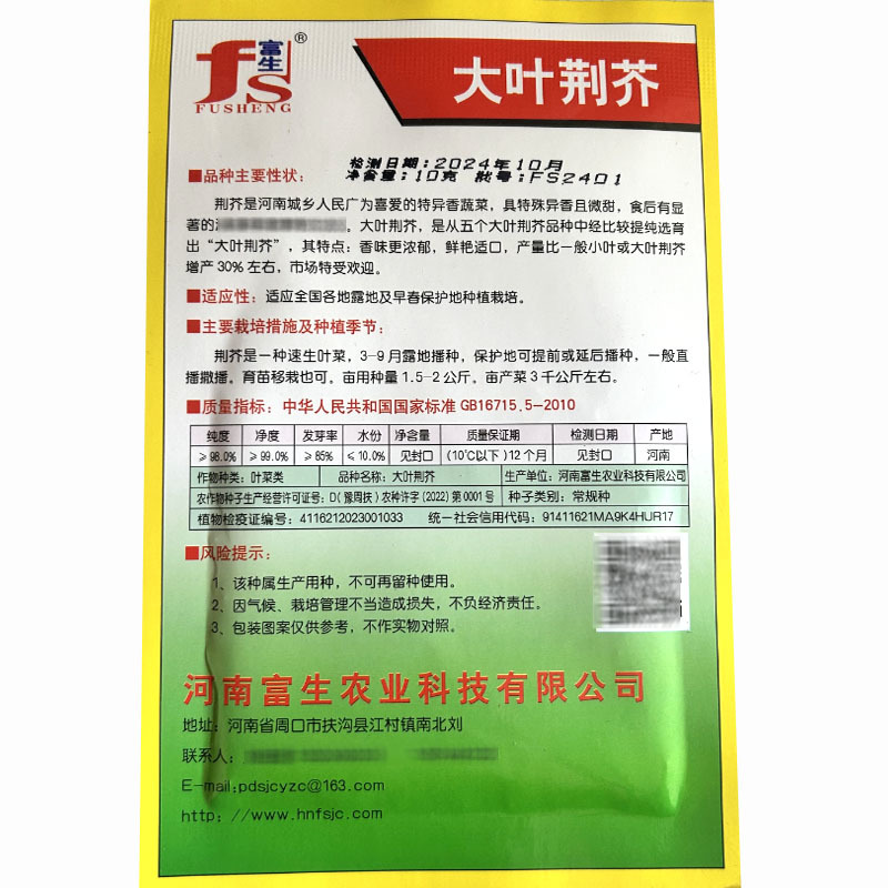 大叶荆芥种子早熟生长快香味浓高产芽率高基地品种