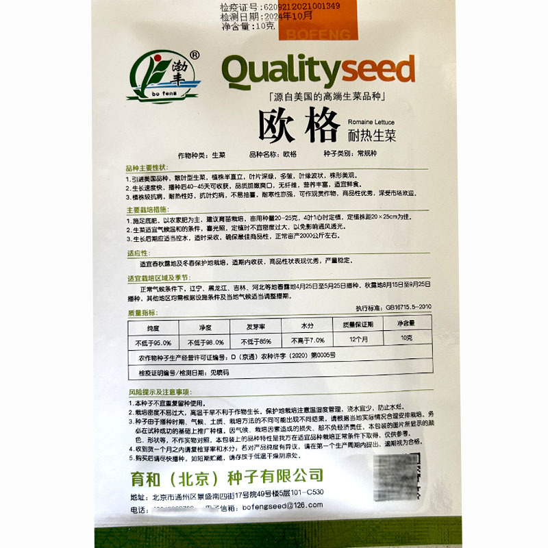 耐热散叶生菜种子叶深绿色耐抽苔基地大田**