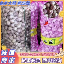 山东大蒜金乡紫皮蒜干蒜货源充足量大从优全国发货