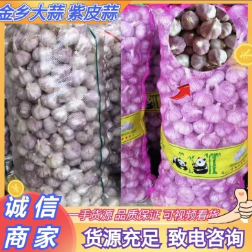 山东大蒜金乡紫皮蒜干蒜货源充足量大从优全国发货