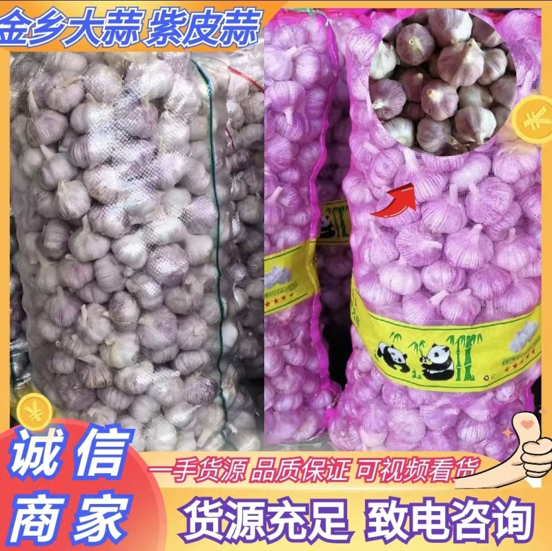 山东大蒜金乡紫皮蒜干蒜货源充足量大从优全国发货