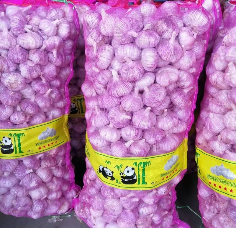 山东大蒜金乡紫皮蒜干蒜货源充足量大从优全国发货