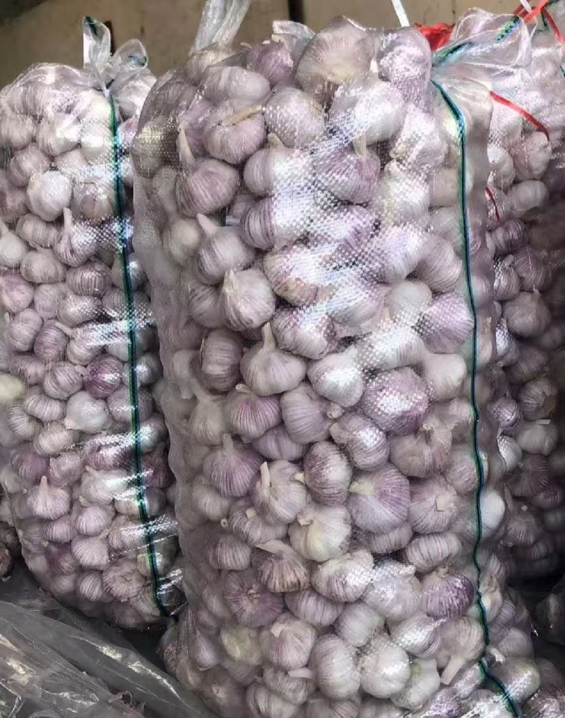 山东大蒜金乡紫皮蒜干蒜货源充足量大从优全国发货
