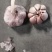 精品金乡大蒜产地直发价格美丽对接各大商超欢迎咨询