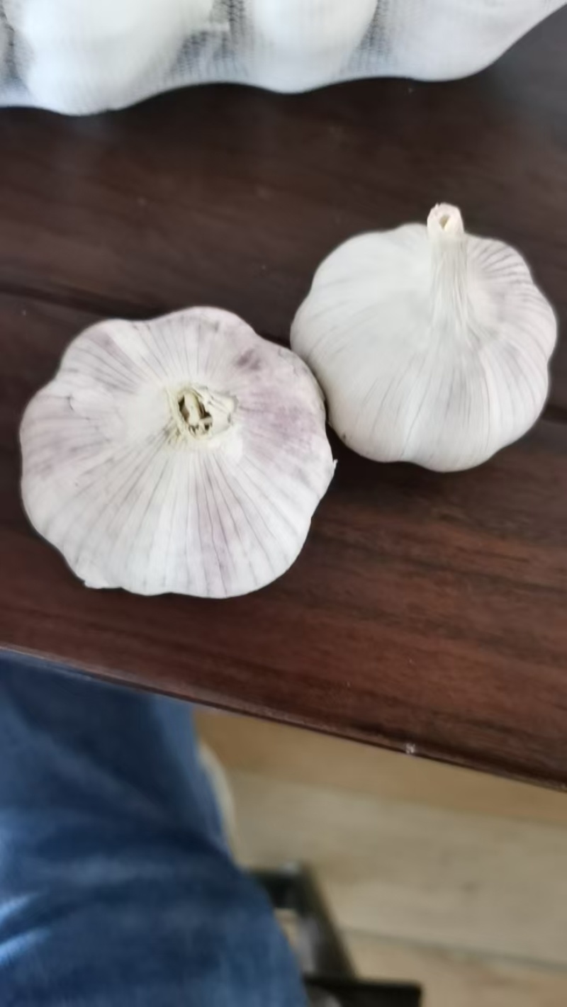 精品金乡大蒜产地直发价格美丽对接各大商超欢迎咨询
