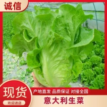 意大利生菜4两~5两，意大利生菜，可视频，可现场
