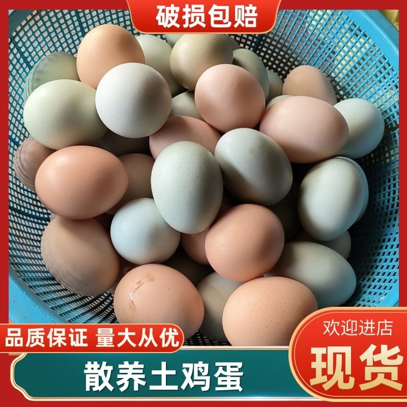 【优选】湖北散养土鸡蛋大量供应价格便宜视频看货