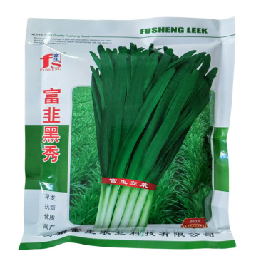 富韭黑秀韭菜种子早发宽叶白根韭菜种子高产耐寒基地