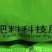 五湖四海病叶修复灵含腐植酸水溶肥料