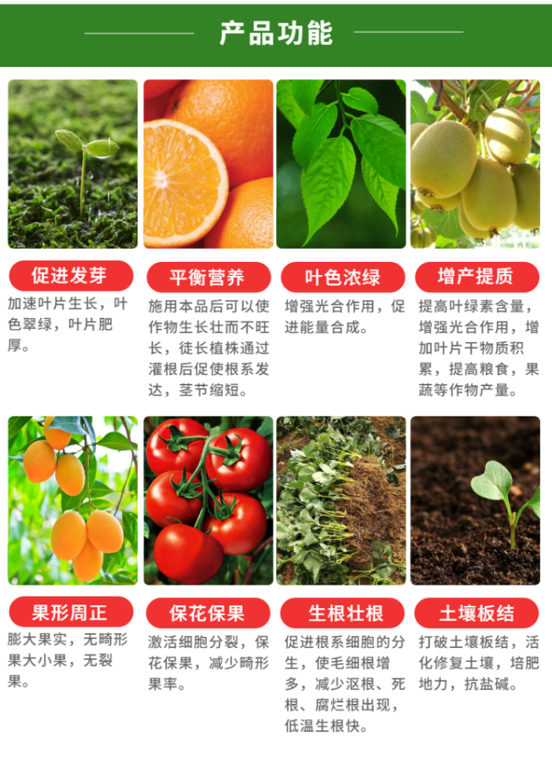 酶解鱼蛋白1升装叶面肥防小叶黄叶僵苗生根防冻喷雾冲施