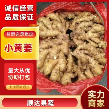 窖藏小黄姜【水洗姜/风干姜/沙土姜】保质保量坏烂包赔