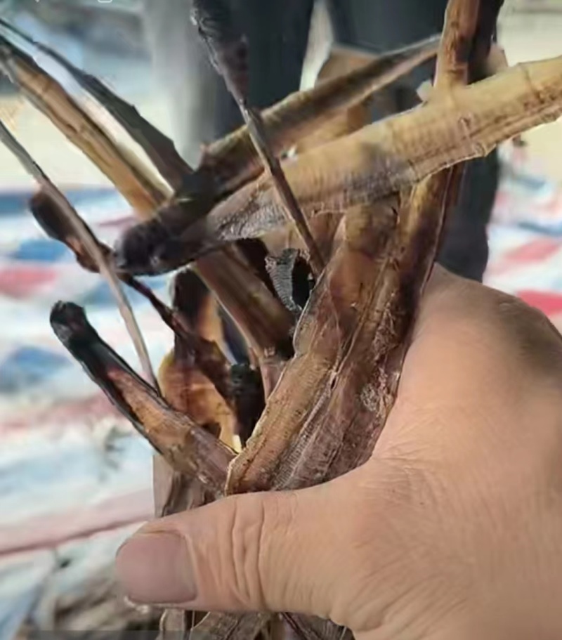 广西钦州的自己加工基地精品地龙干货蚯蚓干量大价优品质保障