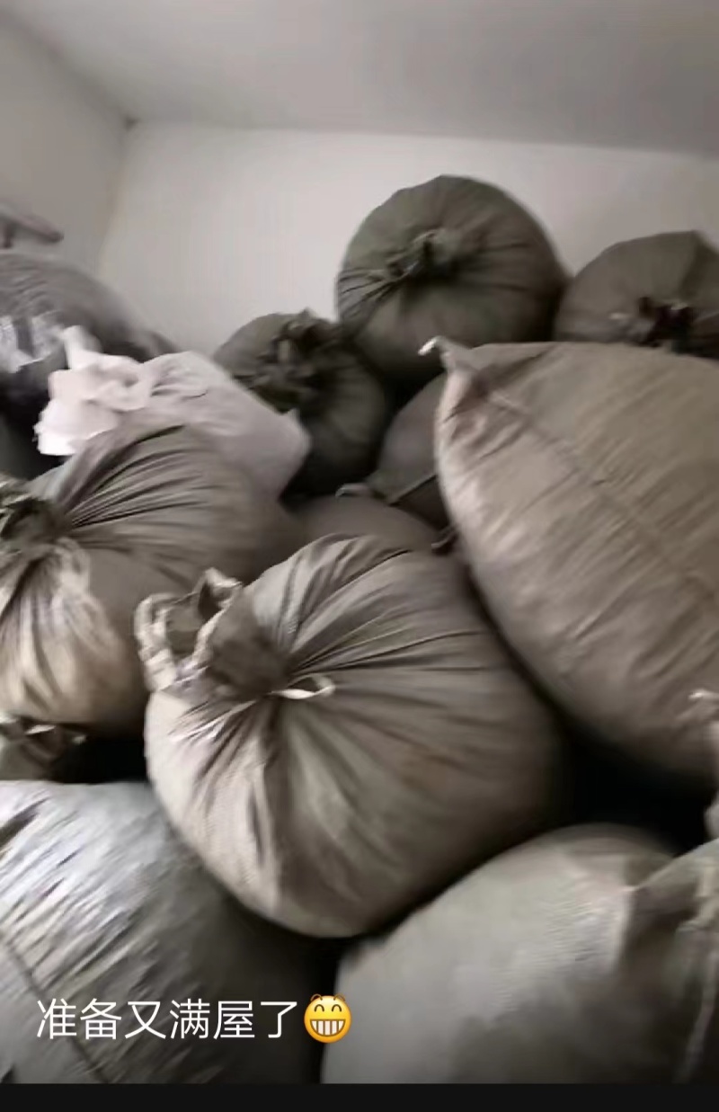 广西钦州的自己加工基地精品地龙干货蚯蚓干量大价优品质保障