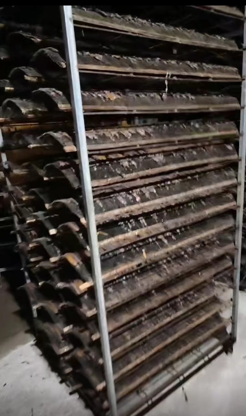 优质广西地龙干蚯蚓干品质好质量优价格实惠欢迎老板选购