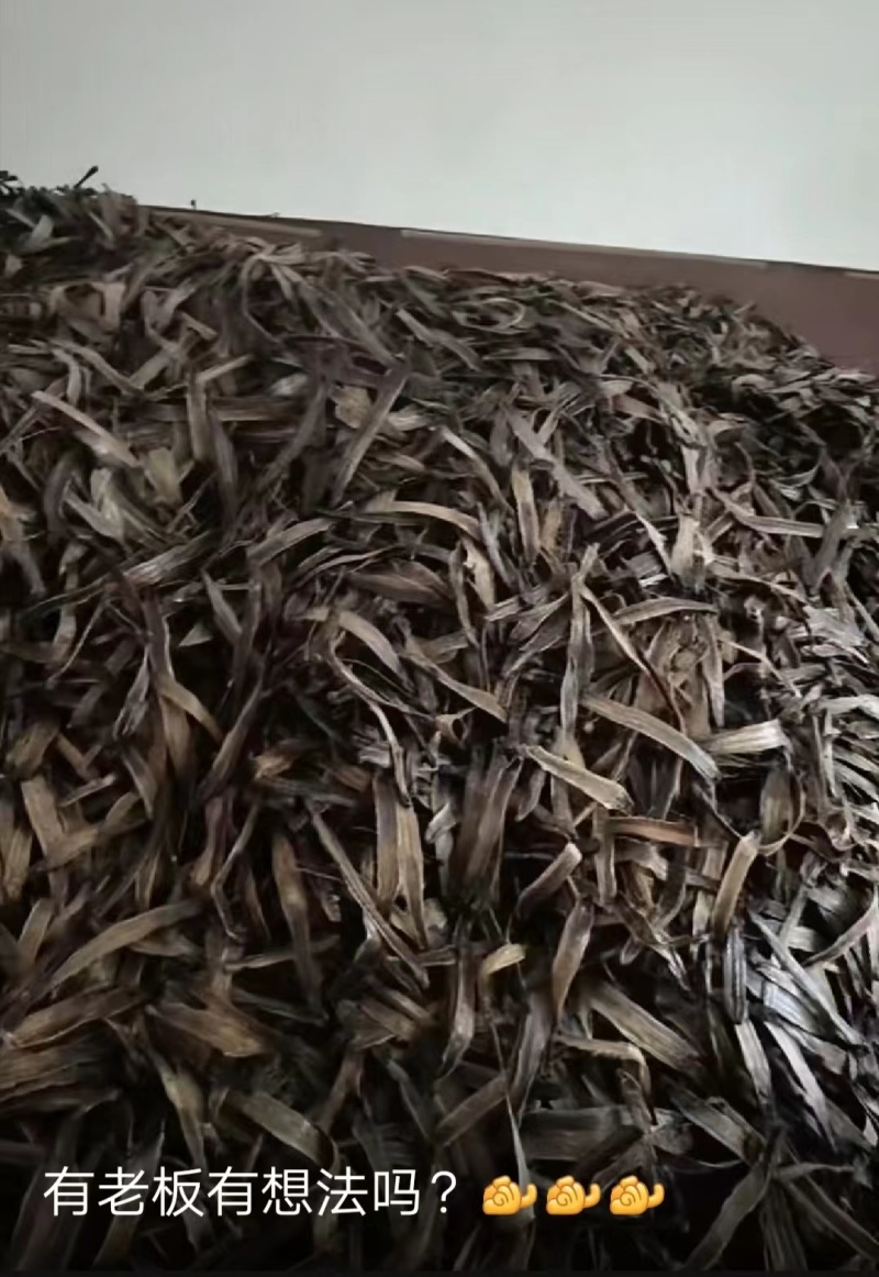 优质广西地龙干蚯蚓干品质好质量优价格实惠欢迎老板选购