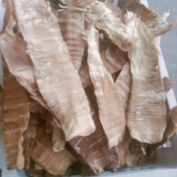 精品长尖笋干大量上市对接各大商超量大从优欢迎选购